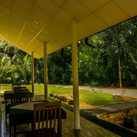 Little Ele Safari Lodge Udawalawe Esterno foto