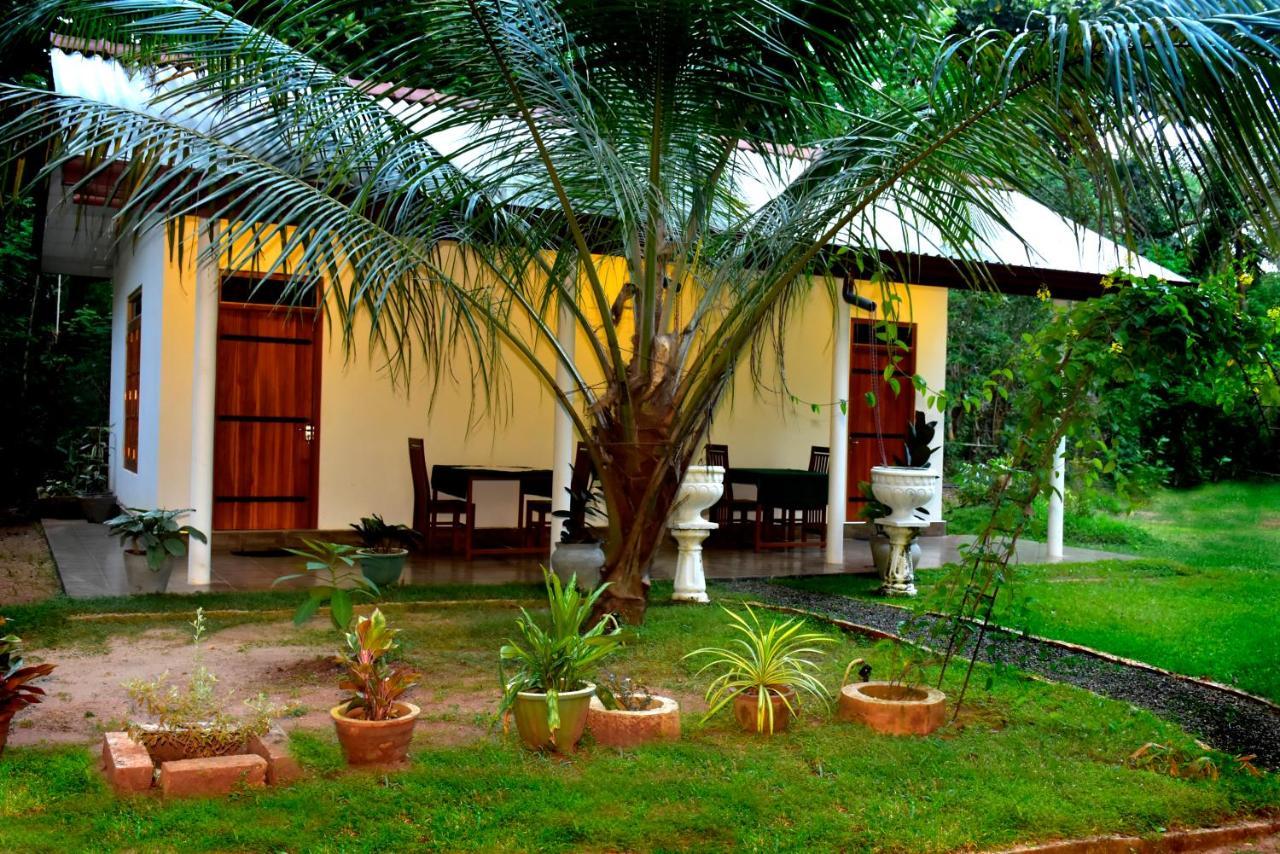 Little Ele Safari Lodge Udawalawe Esterno foto